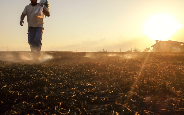 Iowa Rural Land May Qualify for Significant Property Tax Savings